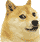 :doge: